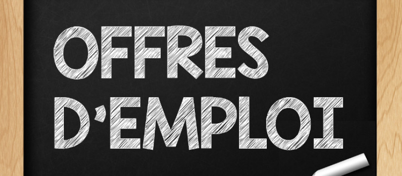 Nous recrutons ! Technico-commercial / conseiller de vente (H/F) 100%